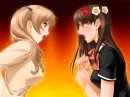 Cat Fights