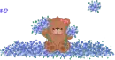 welcome teddy bear
