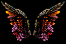 Angel wings