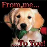 doggie!