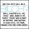 Bitch