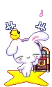 bunny kawaii