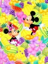 exotic disney mickey & minnie