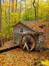 wooden house