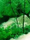 waterfall