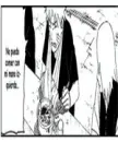 narusaku