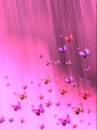 cute pink butterflies