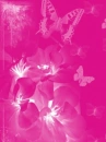 pink butterflies & flowers