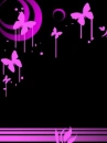 pink butterfly in the night