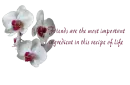 Friends Quote