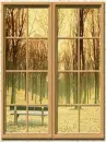 through the window