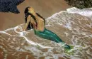mermaid