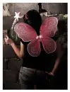 fairy