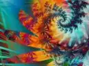 hippie