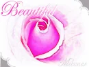 Beauty