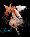 Judi