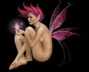 Fairy