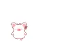 cute kawaii hey hey pig