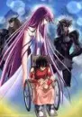 saint seiya