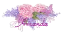 Amanda - Roses and Lilacs 