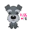 dog , kiss me