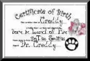 Creddy Birth