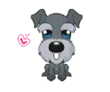 dog cute