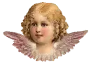 cute angel