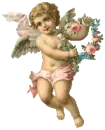 cute angel
