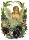 cute angel