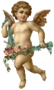 cute angel