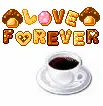 cafe lover