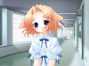 sachi