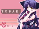 Tobari Tag