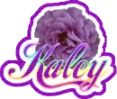 Kaley