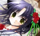 Tobari's Face 