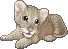 Lion Cub