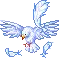 Dove