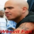 Veronica Mars ---- Weevil Fan Avi 2