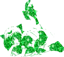 Mew Ichigo Green
