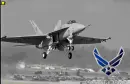 U.S. Air Force