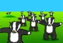 badger