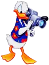 donald