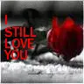 i still love you