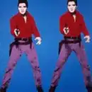 Elvis By: Andy Warhol