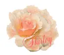 Shirley