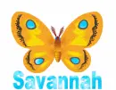 Savannah