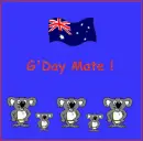 G'day Koala