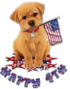 Happy 4th of July Puppy