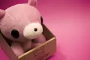 Gloomy Bear